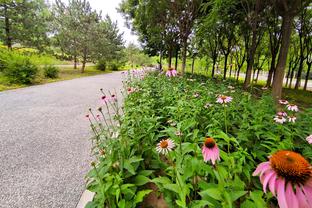 此前已经遭遇客场8场连败，西汉姆自2015年首次客胜阿森纳